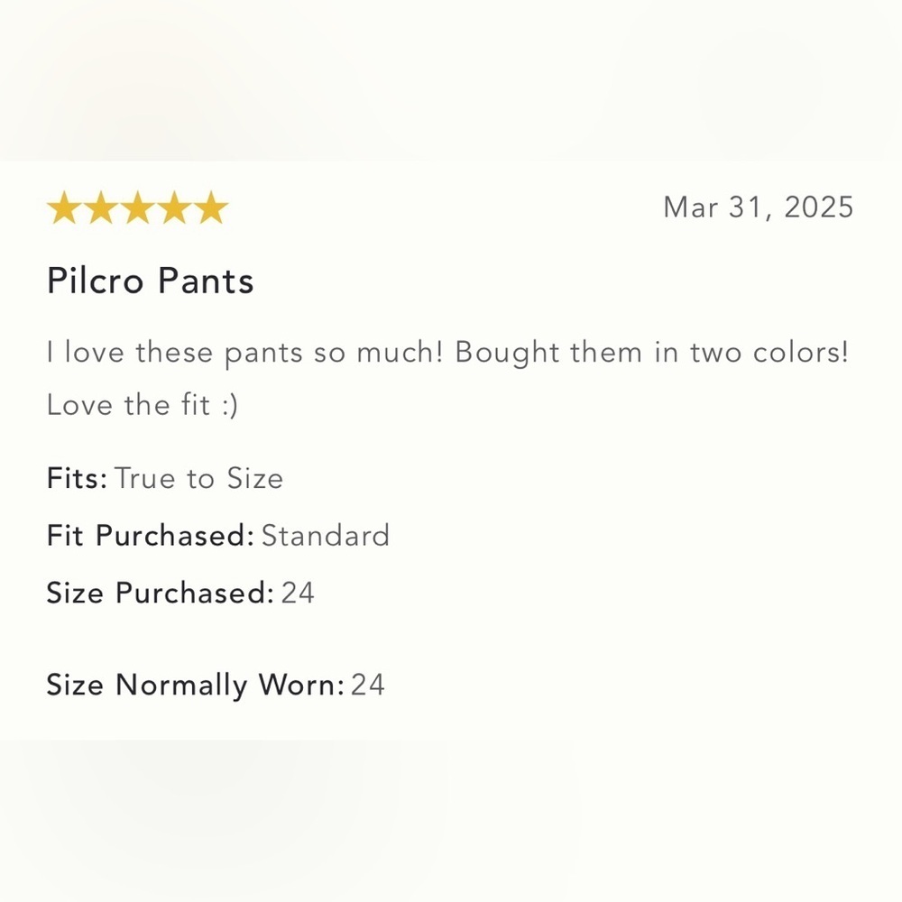 NWT Size 24P - Anthropologie The Wanderer pants by Pilcro - Picture 5 of 16